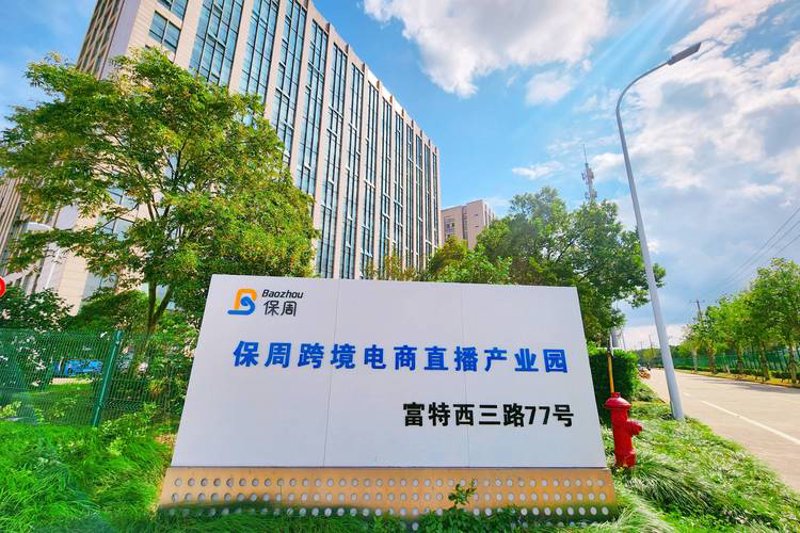 寻找适合的软件开发伙伴：上海市场的选择指南